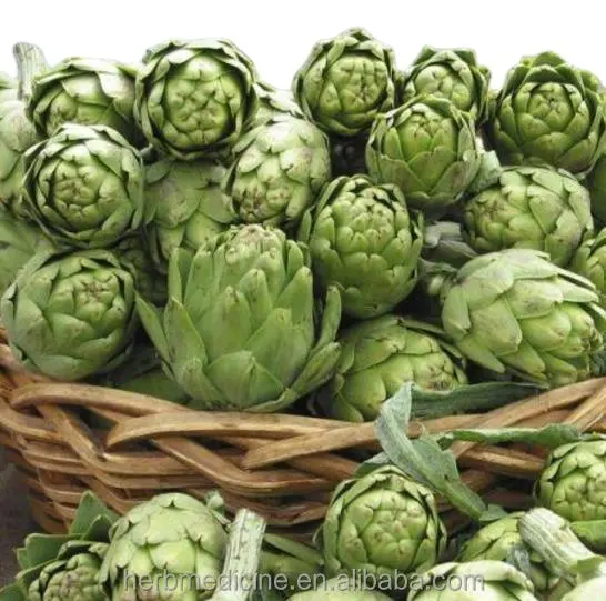 Alcatraca seca de vegetais nova, deshidratada cynara scolymus artichoke pétalas de flores para comida