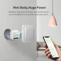Interrupteur relais intelligent Zigbee miniature en gros d'usine, télécommande sans fil, interrupteur lumineux Zigbee, AC 220V 16A, minuterie DIY, commande vocale