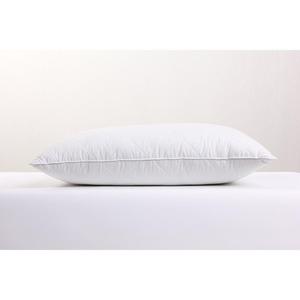 2025 OEM đặt hàng dịch vụ thở xuống bằng chứng fabric100 ngỗng 3 buồng xuống gối chèn 18x18 20x20 - Product Image 2