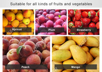 Duindoorn Fruit Pitting/Pulping Machine | Duindoorn Fruit Verwerking Machine