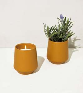 ชุดเครื่องมือสำหรับปลูกหนอน,ชุดคิตสำหรับปลูกเทียนแบบรูท - Product Image 2