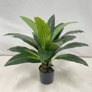 Dracaena Fragrans Bonsái Artificial Tropical con Certificación UV para Interiores/Exteriores, Decoración de Oficina en Maceta, por Proveedor de Fábrica - Product Image 3