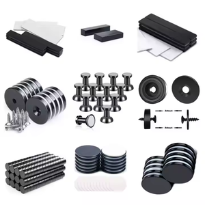 מגנטים דיסק מגנטים דיסק מגנטים אפוקסי מצופה חזק קבוע אדמה נדירה למקרר - Product Image 2