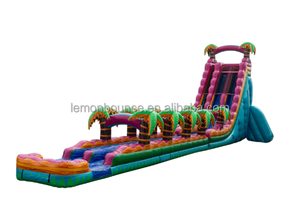 Vente flash : Toboggan aquatique gonflable géant commercial avec <span class=keywords><strong>piscine</strong></span> à jets d'eau, toboggan gonflable humide et sec adapté aux adultes et aux enfants, <span class=keywords><strong>pour</strong></span> l'extérieur - Product Image 4