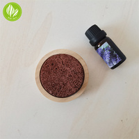 Diffuseur d'huile essentielle Moon Lava Rock Diffuseur de pierre volcanique