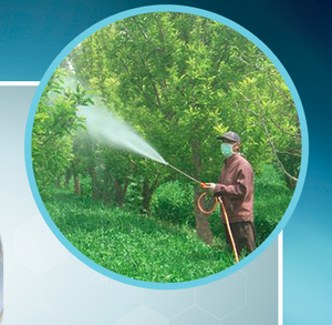 N-butyl-2-pyrrolidinone/<span class=keywords><strong>1</strong></span>-butyl-2-pyrrolidinon/<span class=keywords><strong>1</strong></span>-butylpyrrolidin-2-one วัสดุตัวทำละลาย <span class=keywords><strong>nbp</strong></span> - Product Image 6