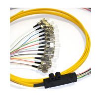 12F OS2 G657A1 LC UPC Fiber Optic Fanout Pigtail POE 4G FTTH 3G SDK IP GPRS TCP kompatibel Panel Patch