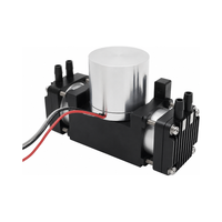 Pompe à air à diaphragme DC 24V, pompe à vide à double tête 600kPa 25L/min BD-08AB pour système pneumatique et filtration sous vide