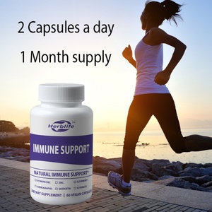 Suplemento de Apoyo Inmunológico OEM/ODM de Venta Caliente con Vitamina C y Zinc, Baya del Saúco, Vitamina D3, Cápsulas de Equinácea - Product Image 4