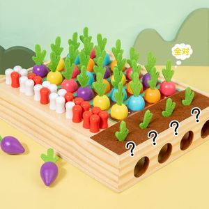 Montessori <b>Board</b> <b>Game</b> Brain Teaser <b>Table</b> Toy Wooden Logical Training Radish Color Matching Toys - Product Image 4
