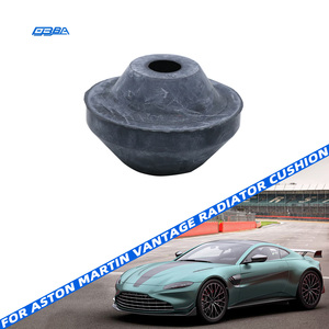 Coussin de réservoir d'eau de voiture d'occasion haut de gamme, qualité OEM, pour Aston Martin Vantage 2022 OE HY53-6C681-AA - Product Image 1