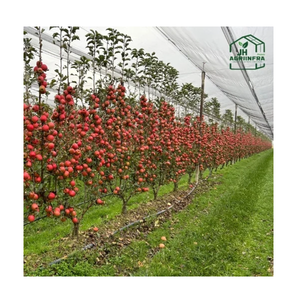 Sistema de Enrejado con Red Antigranizo Resistente para Protección de Cultivos, Garantizando el Máximo Rendimiento y una Cobertura Duradera en Todo Tipo de Clima - Product Image 3