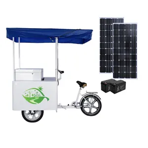 500w Electric Tricycle Ice Cream Freezer Cart Bike Bicycle With Water  System