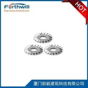 Forthwill Serrated Lock <b>Washer</b> 25 Mm Stainless Steel Plain Surface For General Industry - Product Image 1