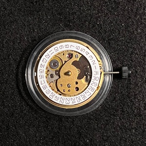 Movimiento Automático Sellita SW260-1, Segundero Pequeño <span class=keywords><strong>a</strong></span> <span class=keywords><strong>las</strong></span> <span class=keywords><strong>6</strong></span> en Punto, 31 Joyas, Hecho en Suiza, Compatible con Piezas de Reloj ETA 2895-2 - Product Image 1