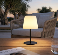 Lampe de table solaire d'extérieur sans fil à LED avec télécommande, 15 couleurs RVB, hauteur réglable, idéale pour les fêtes en extérieur, dans le jardin ou la cour.