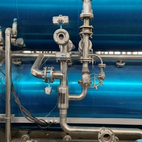 Autoclave de stérilisation par immersion dans l'eau pour Zongzi, riz au lait, boulettes de riz collantes