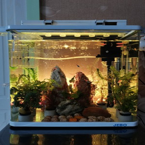 2022 חם למכור התאמה אישית גדול אקריליק מלבן דגי אקווריום אקריליק אקווריום custom דגי טנק - Product Image 5