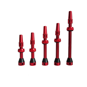 <span class=keywords><strong>Valve</strong></span> Tubeless RoadUp - Alliage 44mm avec Outil <span class=keywords><strong>de</strong></span> Retrait du Noyau <span class=keywords><strong>de</strong></span> <span class=keywords><strong>Valve</strong></span> et Capuchon <span class=keywords><strong>de</strong></span> <span class=keywords><strong>Valve</strong></span> <span class=keywords><strong>Presta</strong></span> - Product Image 6