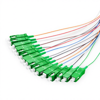 Paket Baja Presisi Tinggi Fiber Optic PLC Splitter Konektor SC Komponen Distribusi Optik untuk Tugas Transmisi Jaringan