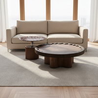 Table basse contemporaine combinée extensible à hauteur réglable, montage facile, légère, décorative, meubles de salon