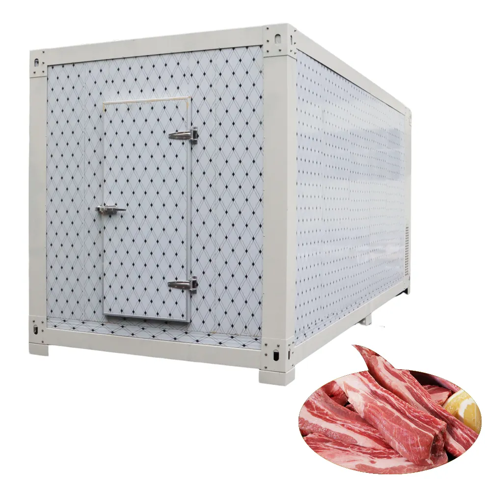 Mobile Container Cold Room 20/40 Feet Container Cold Room/Cold Storage/Cold Store