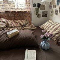 Nouvelle parure de lit en coton à rayures marron à l'aloe vera, ensemble trois pièces, housse de couette simple, 2 taies d'oreiller, 3 pièces, ensembles de literie, textile de maison