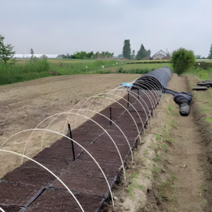 Premium Fiberglass Rods for Plant Support & Small Tunnel Greenhouse - Product Image 5