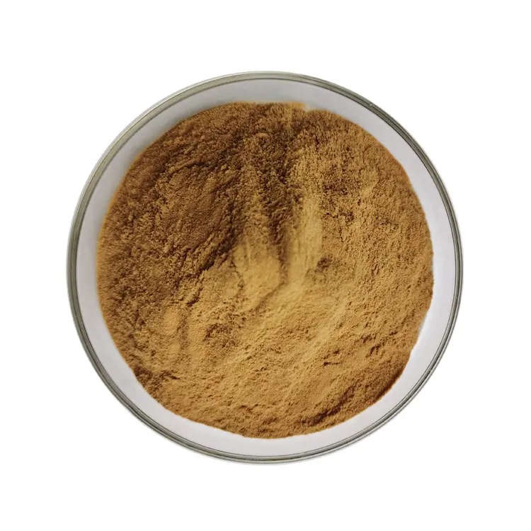 Extrait de poudre naturelle Pure de 120 ml, Reishi, Ganoderma, lucioffre spéciale