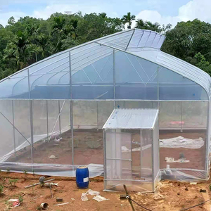 Serre tunnel agricole en plastique à simple portée, économique, à dents de scie - Product Image 5