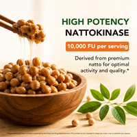 SOLOTREE 120 Gélules de Nattokinase, Compléments Alimentaires, Capsules de Nattokinase 10000 FU, Gélules de Nattokinase de Qualité Supérieure