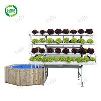 Système de Culture Aquaponique : Bassins pour Fermes Piscicoles, Serre Hydroponique, Aquarium pour Poissons et Légumes