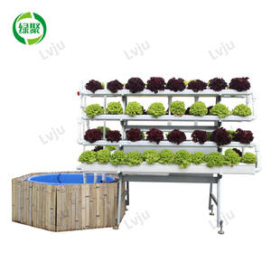 Système de Culture Aquaponique : Bassins <span class=keywords><strong>pour</strong></span> Fermes Piscicoles, <span class=keywords><strong>Serre</strong></span> Hydroponique, Aquarium <span class=keywords><strong>pour</strong></span> Poissons et Légumes - Product Image 5