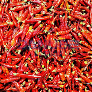 PLC Control Automatic Chili Drying Machine Red Pepper Dryer Equipment Chilli Drying Machine - Product Image 4