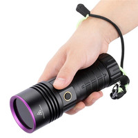 Puissante lampe de poche LED UV 140W 365nm torche ultraviolette Blacklight Rechargeable argent taches d'animaux de compagnie encre Scorpion lumière fluorescente