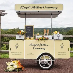 Fornecimento de fábrica carrinho de exibição de sorvete italiano móvel com suporte de carrinho de sorvete de bom preço com freezer