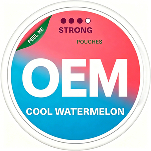 Wholesale OEM Portable <b>ABS</b> Plastic Snus Oral Pouches Customized Flavors & Powders Snuff Pouch Can - Product Image 5
