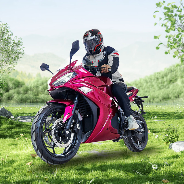 CKD EEC 17inch Wholesale Price Electric Motorcycle 2700W 100km/H Speed Cheap Electric Motorcycle for India Market