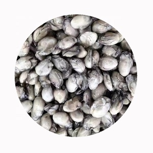 Thịt hàu iqf SD iqf thịt hàu đông lạnh - Product Image 5