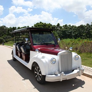 Vehículo Turístico Eléctrico de 9 Plazas para Uso en Parques y Resorts - Product Image 3