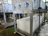 Grande machine à glace en blocs à réfrigération directe, produits très demandés vendus directement par les fabricants