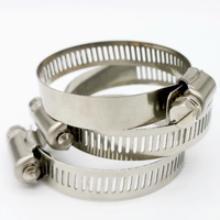 Customizable OEM Automotive Fasteners 304 316 201 Stainless Steel Worm Drive Hose Clamp Clips and Hose Clip