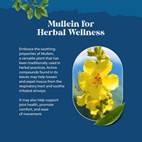 Échantillon gratuit de gouttes de feuilles de molène de marque privée Vitamines liquides par voie orale Suppléments à base de plantes Nettoyer les poumons Gouttes liquides de feuilles de molène