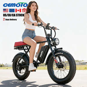 Электрический гибридный велосипед Quality Choice, 20 дюймов, 48В, для взрослых, электрический горный велосипед с толстыми шинами, полная подвеска - Product Image 1