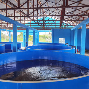 Hoch dichte Indoor-Fischzucht Land basierte Aquakultur systeme für Jade Barsch - Product Image 5