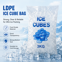 Sacs à glace en plastique alimentaire résistant aux déchirures, avec logo personnalisé, sacs à glace en LDPE