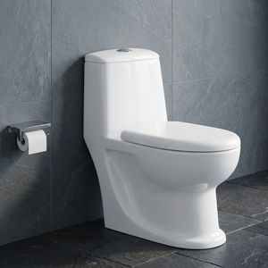 WC monobloc en céramique de luxe blanc et or, à chasse directe, à poser au sol, avec options de couleur personnalisées - Product Image 2