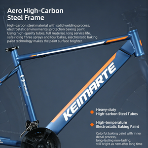 Vélo de route 700C 24 vitesses, cadre en acier carbone, fourche personnalisable, freins à disque doubles, roues en alliage d'aluminium, course - Product Image 2