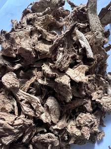 Sélection de rhizomes de gingembre amer géant à chair épaisse et aux huiles essentielles naturelles pour l'extraction - Product Image 1