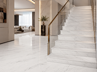 Dalles de marbre Bianco Aristonia Venato en pierre naturelle pour comptoirs, murs décoratifs et projets intérieurs sur mesure